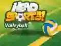 Jeu Volley-ball Head Sports en ligne