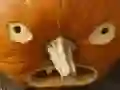 Jeu 5 en 1 Puzzle d'Images : Halloween en ligne Jeu 5 en 1 Puzzle d'Images : Halloween en ligne