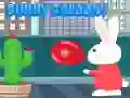 Jeu Bunny Ballonny en ligne Jeu Bunny Ballonny en ligne
