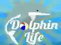 Jeu La Vie des Dauphins en ligne