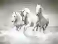 Jeu Puzzle de chevaux en ligne Jeu Puzzle de chevaux en ligne