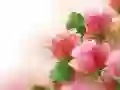 Jeu Roses Roses en ligne Jeu Roses Roses en ligne