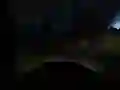 Jeu Conduite Horrifique dans la Jungle en ligne Jeu Conduite Horrifique dans la Jungle en ligne
