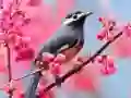 Jeu Oiseaux Aimables en ligne