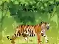 Jeu Coloriage Tigre Enragé en ligne