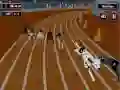Jeu Folie de la Course de Chiens en ligne Jeu Folie de la Course de Chiens en ligne