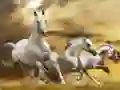 Jeu Glissade du Cheval Courant en ligne Jeu Glissade du Cheval Courant en ligne