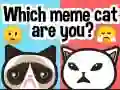 Jeu Quel chat mème êtes-vous ? en ligne Jeu Quel chat mème êtes-vous ? en ligne
