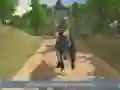 Jeu Transporteur de camion de dinosaure dans la jungle 2020 en ligne Jeu Transporteur de camion de dinosaure dans la jungle 2020 en ligne