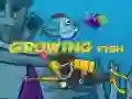 Jeu Poisson en croissance en ligne