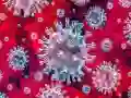 Jeu Tap Tap Fille Covid en ligne Jeu Tap Tap Fille Covid en ligne