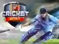 Jeu Cricket 2020 en ligne Jeu Cricket 2020 en ligne