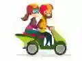Jeu Motos Trouvez les Différences en ligne Jeu Motos Trouvez les Différences en ligne