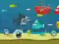 Jeu Requin Fou en ligne Jeu Requin Fou en ligne