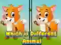 Jeu Quel est l'animal différent en ligne