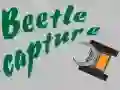Jeu Capture de scarabée en ligne Jeu Capture de scarabée en ligne