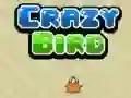Jeu Oiseau Fou en ligne Jeu Oiseau Fou en ligne