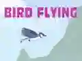 Jeu Vol d'oiseau en ligne Jeu Vol d'oiseau en ligne