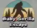 Jeu Évasion du Bébé Gorille en ligne Jeu Évasion du Bébé Gorille en ligne