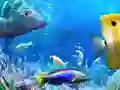 Jeu Allons Pêcher en ligne Jeu Allons Pêcher en ligne