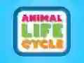 Jeu Cycle de vie des animaux en ligne Jeu Cycle de vie des animaux en ligne