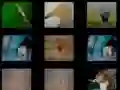 Jeu Mémoire Animale en ligne Jeu Mémoire Animale en ligne