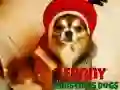 Jeu Chiens de Noël Drôles en ligne