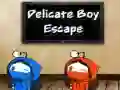 Jeu Évasion du garçon délicat en ligne Jeu Évasion du garçon délicat en ligne