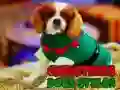 Jeu Styles de Chiens de Noël en ligne Jeu Styles de Chiens de Noël en ligne