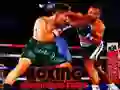 Jeu Combat des Champions de Boxe en ligne