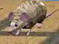 Jeu Îles de Course de Souris en ligne