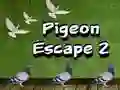 Jeu Évasion du Pigeon 2 en ligne Jeu Évasion du Pigeon 2 en ligne
