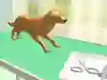 Jeu Soins des pattes en ligne