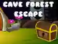 Jeu Évasion de la Forêt de la Caverne en ligne Jeu Évasion de la Forêt de la Caverne en ligne