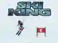 Jeu Roi du Ski en ligne Jeu Roi du Ski en ligne