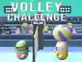 Jeu Défi Volley en ligne Jeu Défi Volley en ligne