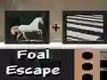 Jeu Évasion de poulain en ligne Jeu Évasion de poulain en ligne