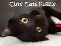 Jeu Casse-Tête Chats Mignons en ligne