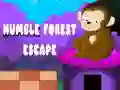 Jeu Évasion de la forêt humble en ligne