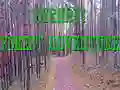Jeu Aventure en forêt de Bernati en ligne Jeu Aventure en forêt de Bernati en ligne