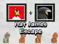 Jeu Évasion de James avec un Chapeau en ligne