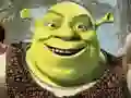 Jeu Collection de Puzzles Shrek en ligne Jeu Collection de Puzzles Shrek en ligne