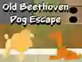 Jeu Évasion du vieux chien Beethoven en ligne Jeu Évasion du vieux chien Beethoven en ligne