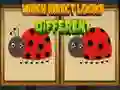 Jeu Quel insecte a l'air différent en ligne Jeu Quel insecte a l'air différent en ligne