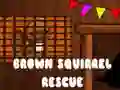 Jeu Sauvetage de l'écureuil brun en ligne