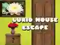 Jeu Évasion de Maison Lurid en ligne Jeu Évasion de Maison Lurid en ligne