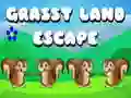 Jeu Évasion de la terre herbeuse en ligne