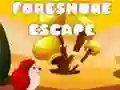 Jeu Évasion du littoral en ligne