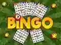 Jeu Bingo Dévoilé en ligne Jeu Bingo Dévoilé en ligne