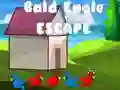 Jeu Évasion du pygargue à tête blanche en ligne Jeu Évasion du pygargue à tête blanche en ligne